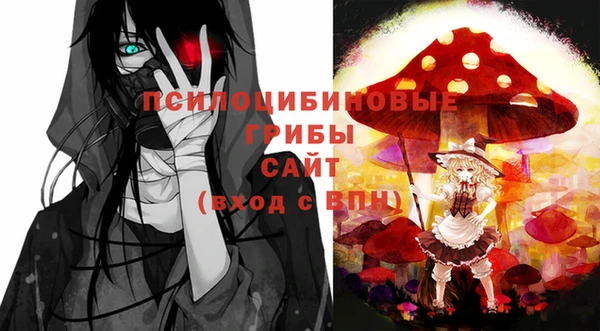 прущие грибы Алексин
