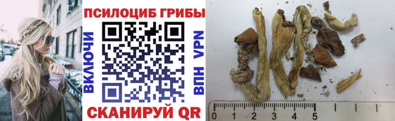 хочу   Бирск  Галлюциногенные грибы прущие грибы 